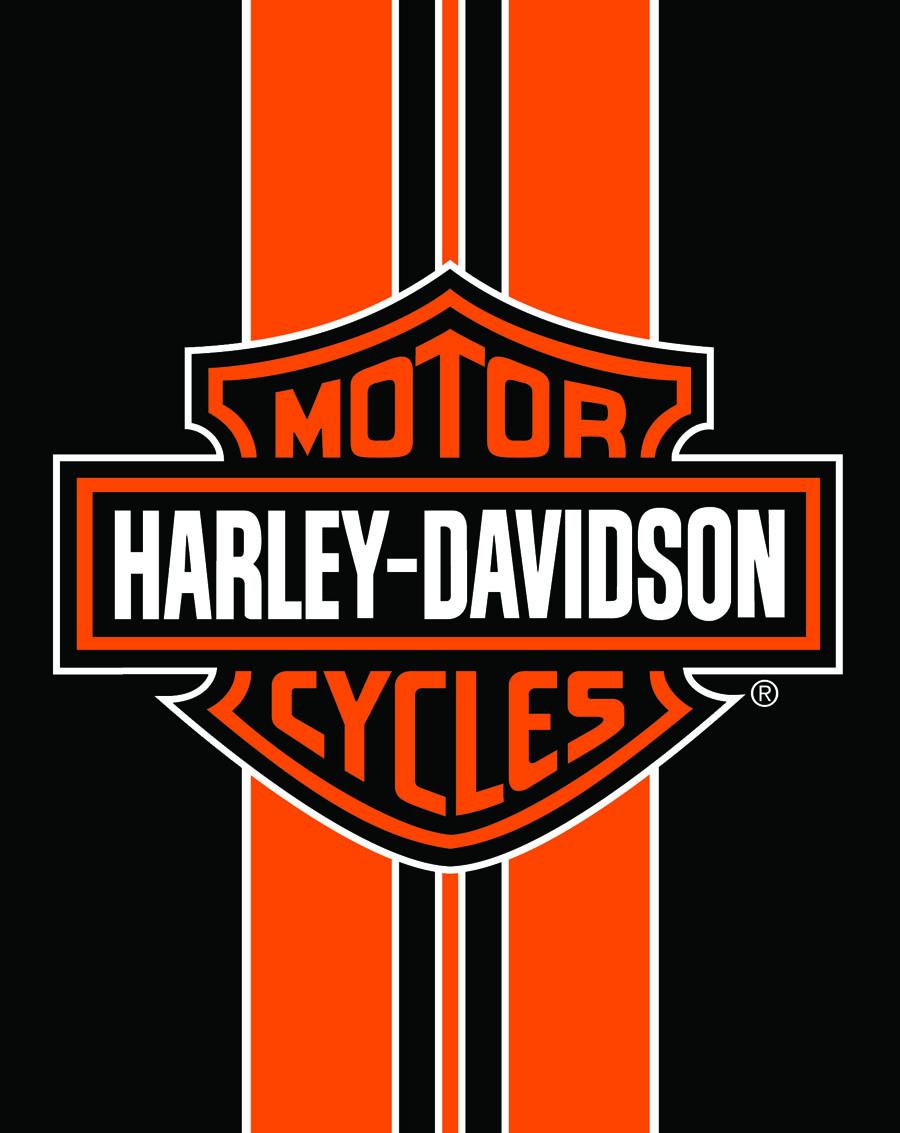image-351133-HD104 JUMBO HARLEY.jpg